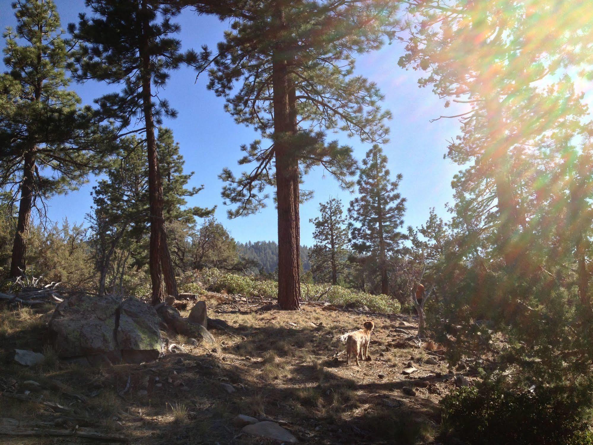 Willa Cienaga Creek Ranch Big Bear Lake Zewnętrze zdjęcie